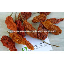 Oven Dried Ghost Chilli